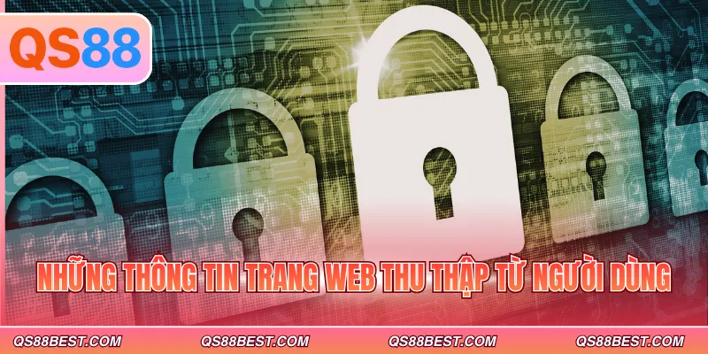 Những thông tin trang web thu thập từ người dùng