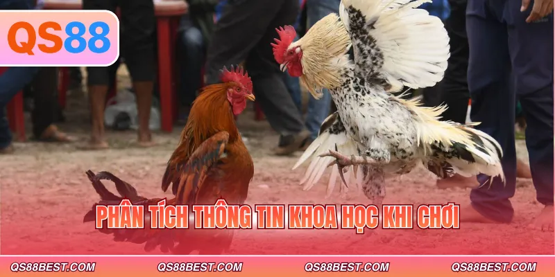 Phân tích thông tin khoa học khi chơi